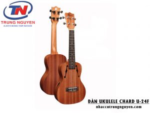 đàn guitar acoustic giá dưới 1 triệu