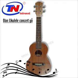 đàn guitar acoustic giá dưới 1 triệu