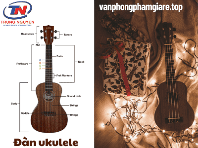 đàn ukulele cần thơ