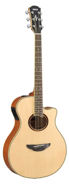 Electro-Acoustic Guitar